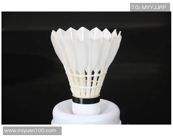 羽毛球装备选购指南及必备训练器材推荐详解